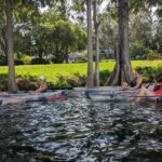 Orlando: Urban Clear Kayak or Paddleboard in Paradise - The Experience: What You Can Expect