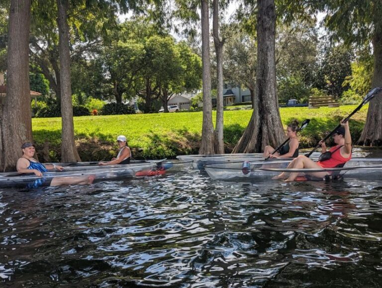 Orlando: Urban Clear Kayak or Paddleboard in Paradise - The Experience: What You Can Expect