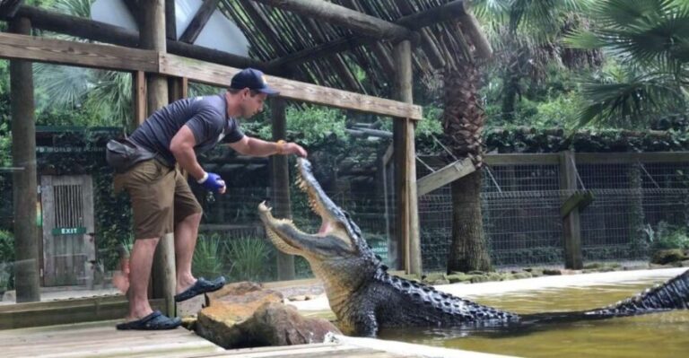 Orlando: Wild Florida Park Ticket and Gator Shows - The Experience: A Closer Look