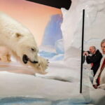 Ottawa: Canadian Museum of Nature Admission - Who Is This Tour Best For?