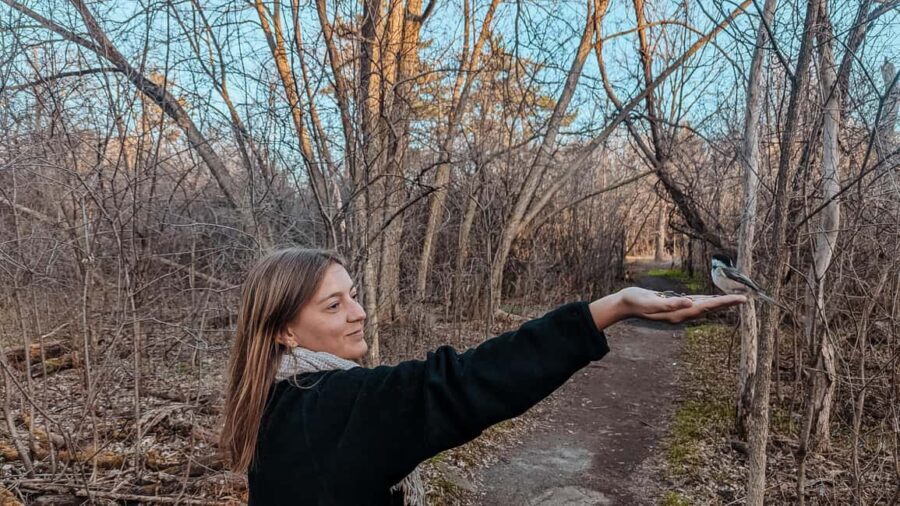 Ottawa: Guided Nature Walk & Wildlife Tour with Hotel Pickup - The Experience and Its Highlights