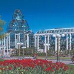 Ottawa Hop-On Hop-Off Sightseeing Tour - How It Works and Practical Tips