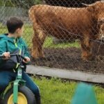 Ottawa Valleyview Little Animal Farm Tour - Things to Keep in Mind