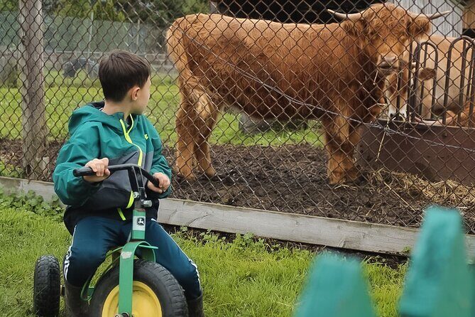 Ottawa Valleyview Little Animal Farm Tour - Things to Keep in Mind