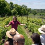 Ottawa's Wine and Cider Tour - What Really Works Well