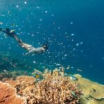 Outer Great Barrier Reef Snorkel Adventure in Airlie Beach - Who Is This Tour Best For?