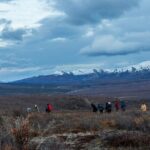 Overnight Denali National Park plus Aurora Chase Tour - Final Thoughts