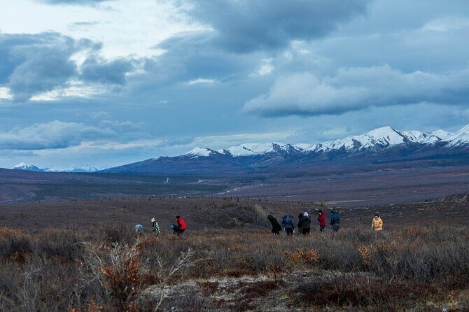 Overnight Denali National Park plus Aurora Chase Tour - Final Thoughts