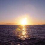 Pacific Star Sunset Buffet and Show - Is This Cruise Right for You?