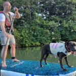 Paddle Board Hale'iwa with Rescue Dogs - Who Would Love This Tour?