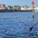 Paddle Board Rental - The Location and Its Benefits