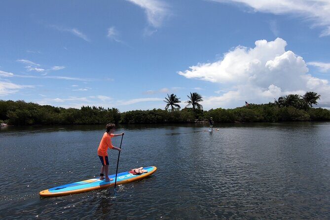 Paddle Board Rental in Vero Beach - The Experience from Others’ Perspectives