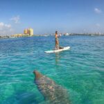 Paddle Boarding Activity to Peanut Island - Practical Details: What to Expect and Considerations