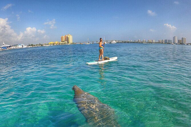 Paddle Boarding Activity to Peanut Island - Practical Details: What to Expect and Considerations