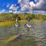 Paddle Boarding Eco Adventure Tour Jupiter Florida - Singer Island - Who Is This Tour Best For?