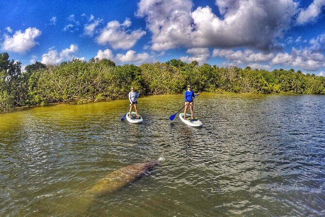 Paddle Boarding Eco Adventure Tour Jupiter Florida - Singer Island - Who Is This Tour Best For?