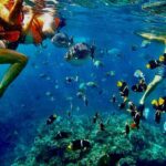Paddleboard and Snorkeling Experience in Los Arcos - The Itinerary in Detail