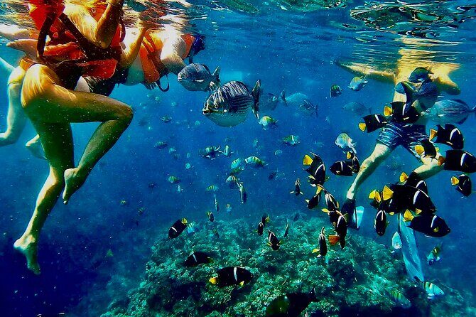 Paddleboard and Snorkeling Experience in Los Arcos - The Itinerary in Detail