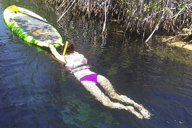 Paddleboard Cenote Tour - Why This Paddleboard Cenote Tour Stands Out