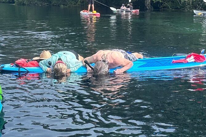 Paddleboard Rental  Three Sisters Springs & Manatee Refuge - Why This Paddleboard Rental Stands Out