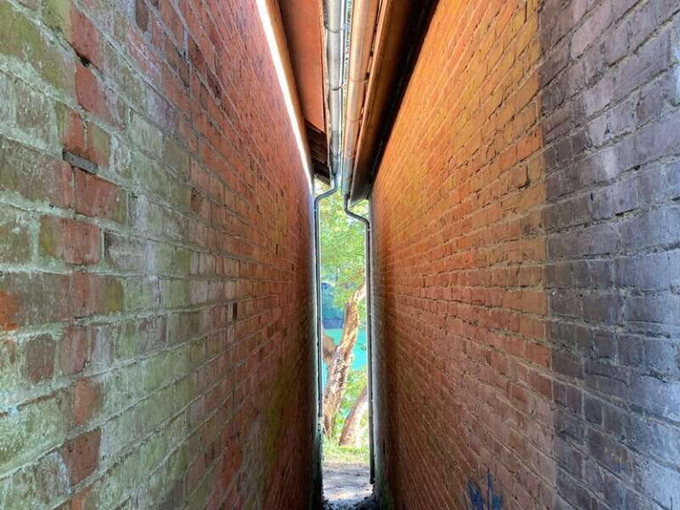 Paddling tour to the Historical Cole Island - Victoria BC - The Value of the Tour