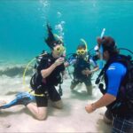PADI Discover Scuba Diving: at Hol Chan Marine Reserve - Who Is This Tour Best For?