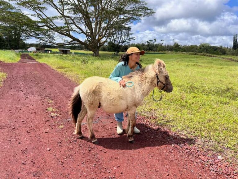 Pahoa: Ranch Tour with Animal Feedings and Interactions - The Experience in Detail