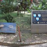 Palenque and Cascades of Roberto Barrios - Who Will Love This Tour?