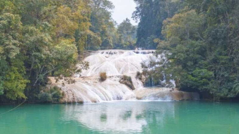 Palenque Archaeological Area and Roberto Barrios Waterfalls - Cultural and Craft Shopping