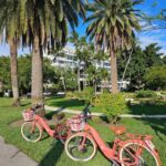 Palm Beach: 3 hr Guided Electric Bike Tour - What Reviewers Say