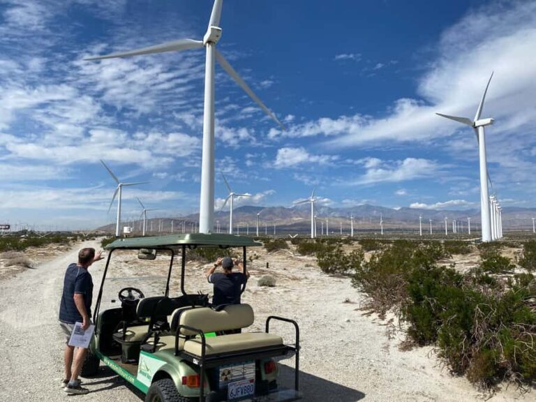 Palm Springs: Guided Golf Cart Windmill Tour - The Experience Itself: What to Expect