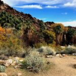 Palm Springs Self-Guided Driving Audio Tour - Final Thoughts: Who Should Consider This Tour?