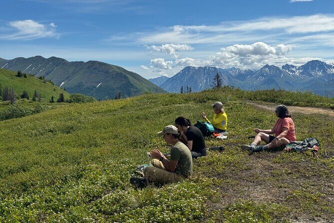 Palmer's Hidden Waterfalls: Full Day Hike - The Practicalities