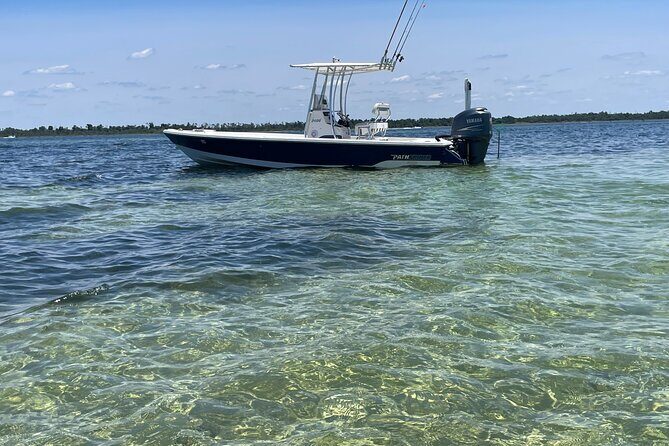 Panama City Beach Florida, Dolphin, Shell Island and Eco Tours - Exploring the Experience in Detail