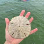 Panama City Beach: Snorkel Excursion with Good Jibez Only - Final Thoughts: Is It Worth It?