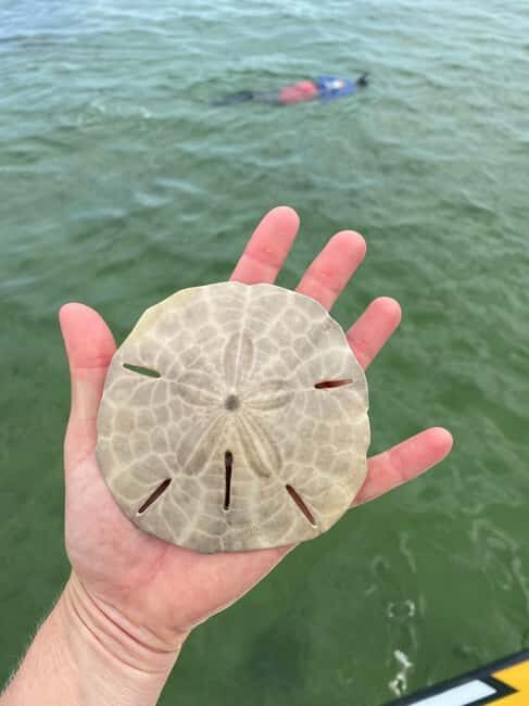 Panama City Beach: Snorkel Excursion with Good Jibez Only - Final Thoughts: Is It Worth It?