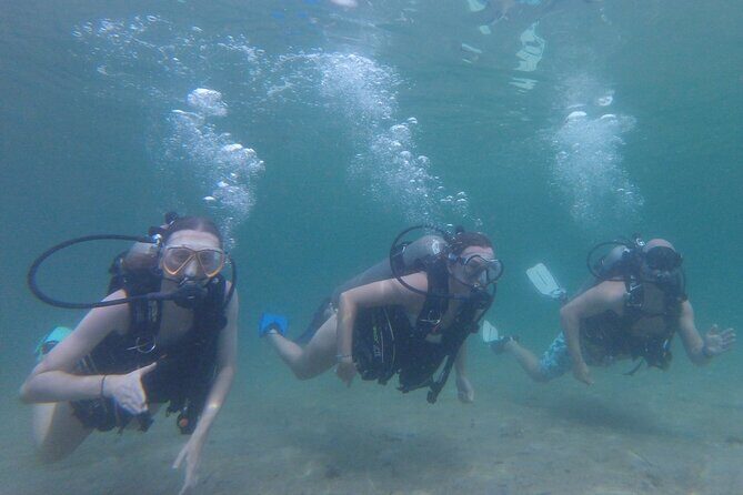 Panama City Scuba Diving Activity for Beginners - The Equipment and Safety