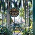 Papeete City Tour, 3hours (on Tahiti) - Discovering the Assembly Gardens and Queens Bath