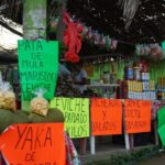 Parachute Experience in Puerto Vallarta - Final Words of Advice