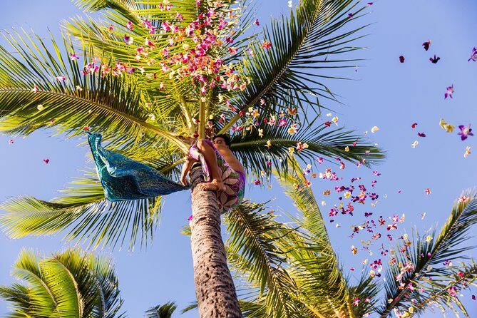 Paradise Cove Luau - Transportation and Logistics