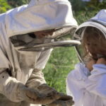 Paradise Valley: Bee Adventure Tour! - The Experience of Donning a Bee Suit