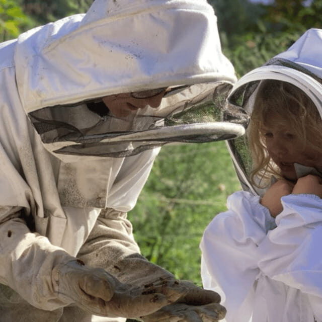 Paradise Valley: Bee Adventure Tour! - The Experience of Donning a Bee Suit