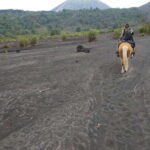 Paricutin Volcano Crater Special Tour - Who Should Consider This Tour?