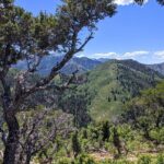 Park City Hiking Activity with Local Guide - Is it Worth the Price?