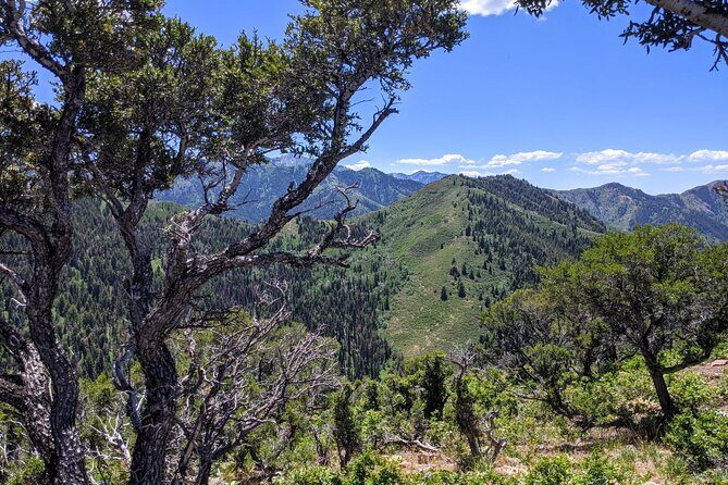 Park City Hiking Activity with Local Guide - Is it Worth the Price?