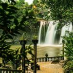 Paronella Park Admission Ticket - The Details That Matter