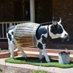 Paso Robles Scavenger Hunt Walking Tour and Game - Practical Details