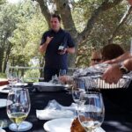Paso Robles Wine Adventure with pickup from Paso Robles, CA - Who Should Consider This Tour?