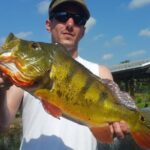 Peacock Bass Fishing Trip in Boynton Beach - The Practicalities: Booking, Cost, and Timing