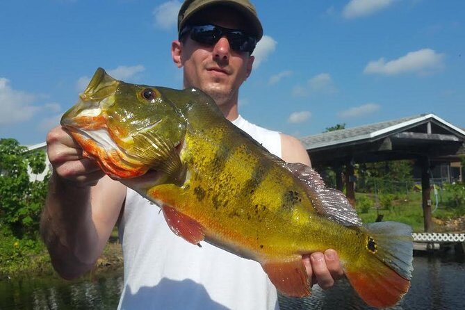 Peacock Bass Fishing Trip in Boynton Beach - The Practicalities: Booking, Cost, and Timing